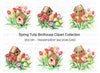 Birdhouse and Tulip Clipart Bundle