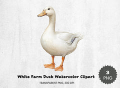 White Farm Duck Clipart Bundle - CraftNest - Digital Crafting and Art
