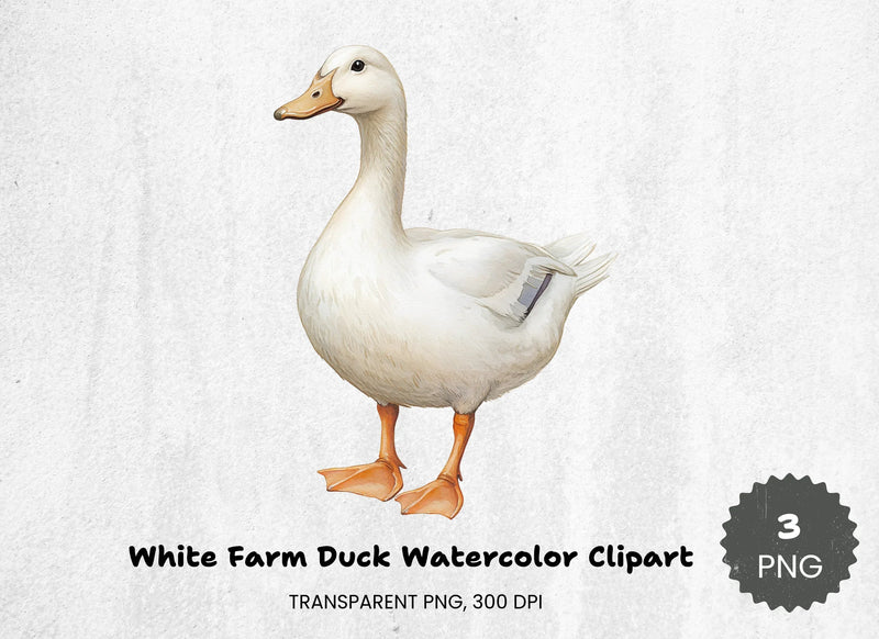 White Farm Duck Clipart Bundle - CraftNest - Digital Crafting and Art