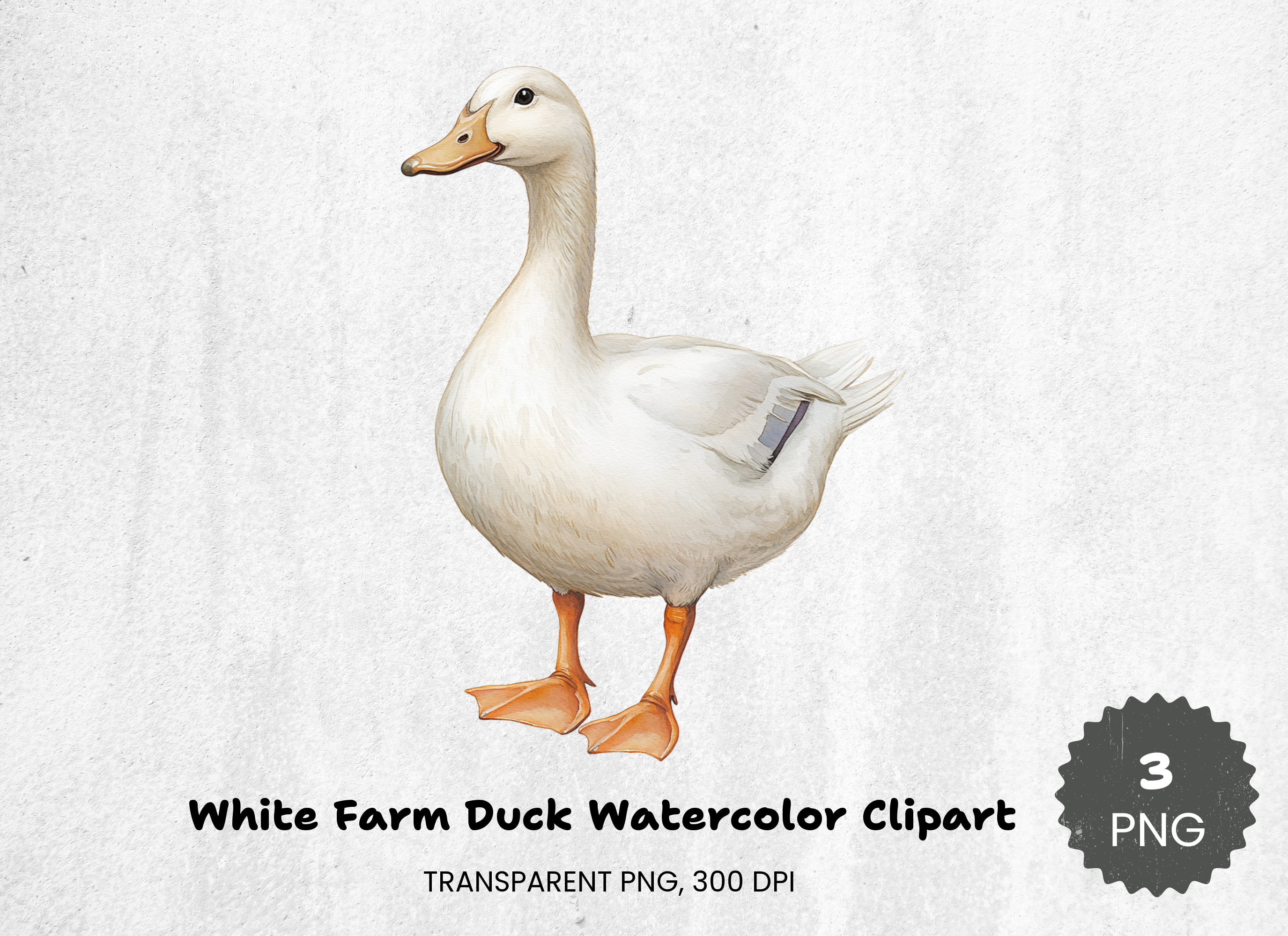 White Farm Duck Clipart Bundle