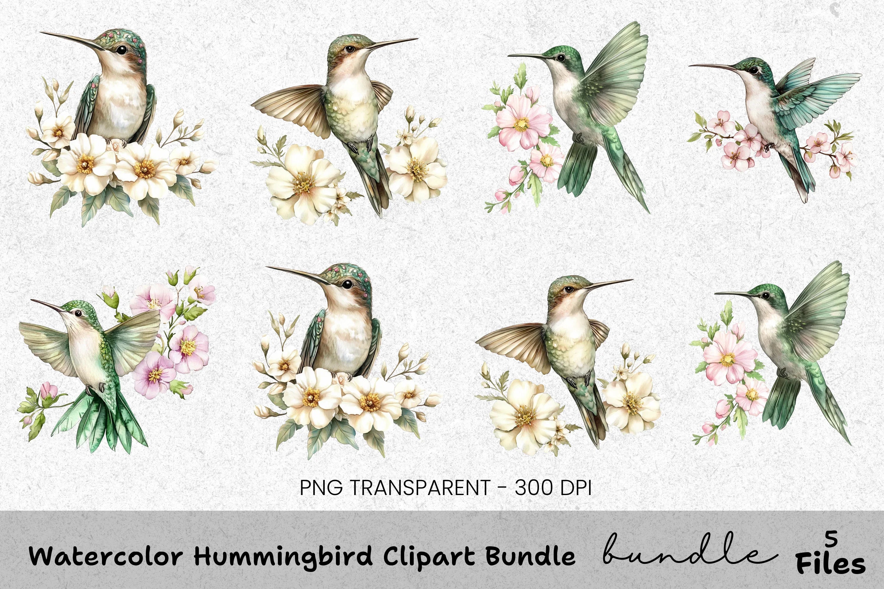 Hummingbird Clipart Bundle