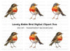 Charming Robin Bird Clipart Bundle