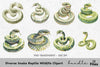 Diverse Snake Reptile Wildlife Clipart Bundle