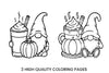 Autumn Gnomes with Pumpkin Spice Drinks Coloring Books