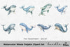 Whale and Dolphin Clipart Bundle