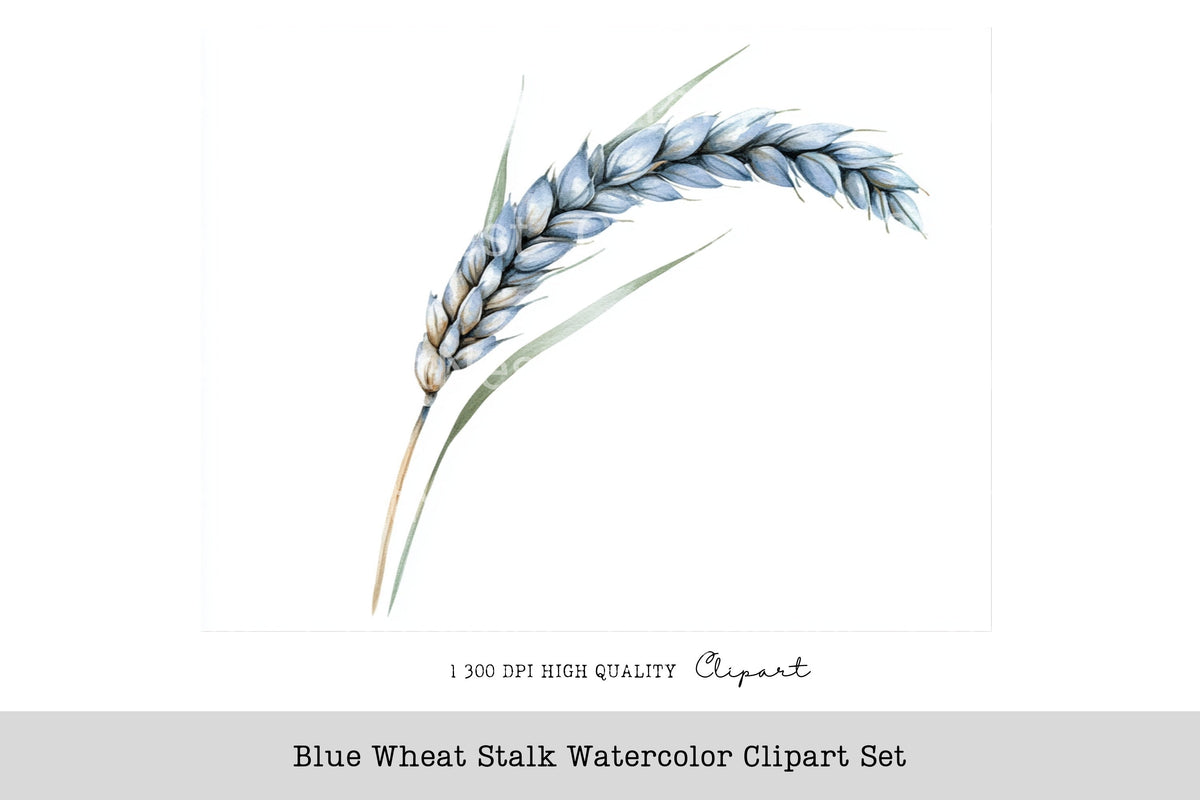 Blue Wheat Stalk Clipart Bundle