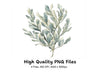 Eucalyptus and Sage Green Leaf Clipart Bundle