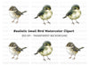 Cute Baby Birds Clipart Bundle