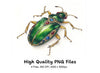 Jeweled Beetle Clipart Bundle