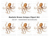 Realistic Octopus Clipart Bundle
