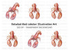 Vibrant Lobster Clipart Bundle