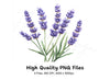 Lavender Clipart Bundle