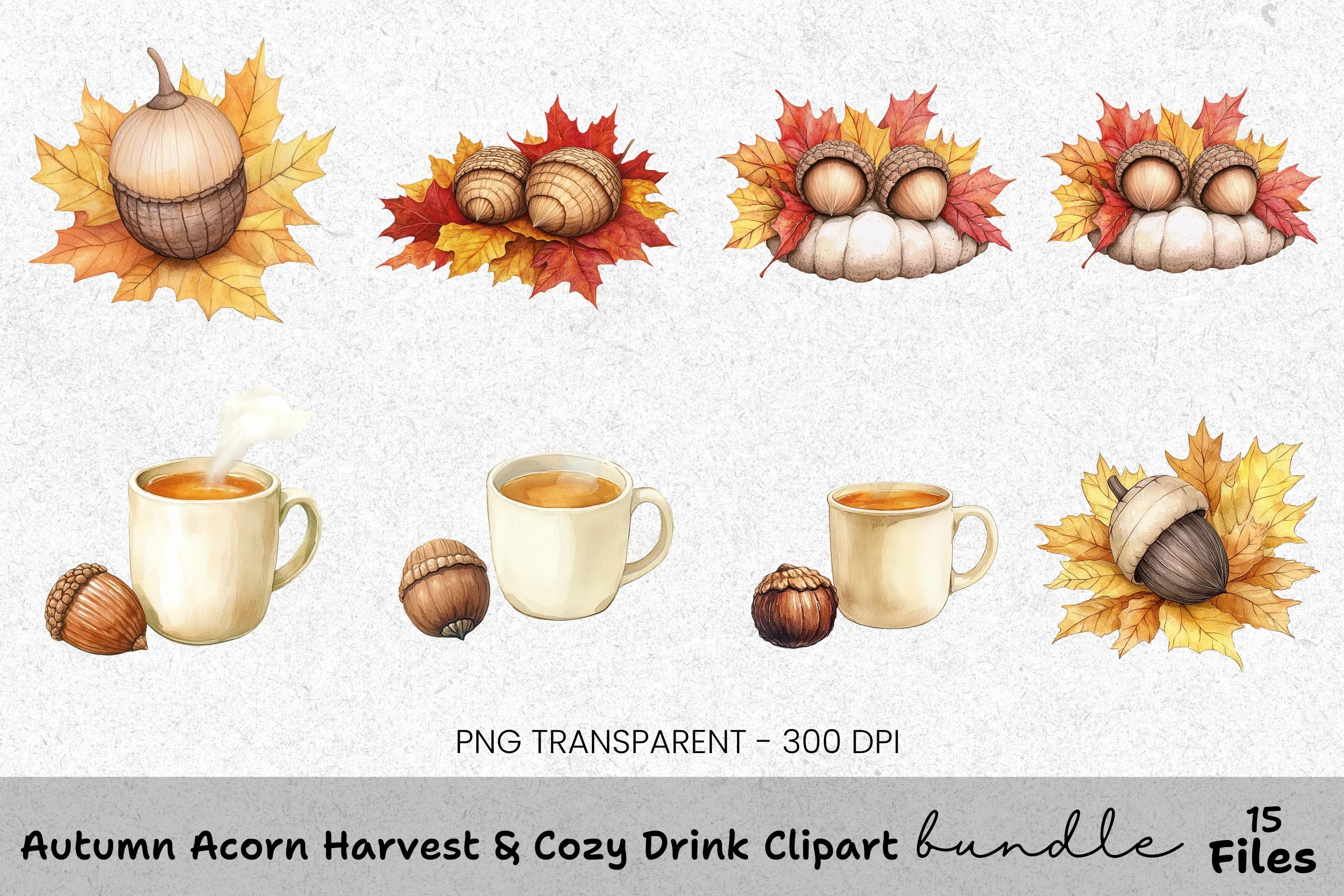 Autumn Acorn Harvest Cozy Drink Clipart Bundle