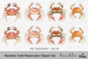 Realistic Crab Clipart Bundle
