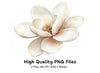 Elegant Magnolia Flower Clipart Bundle