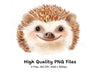 Cute Hedgehog Clipart Bundle