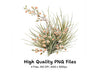 Wildflower Grass Clipart Bundle