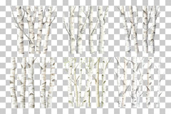 Birch Forest Paper Clipart Bundle - CraftNest - Digital Crafting and Art