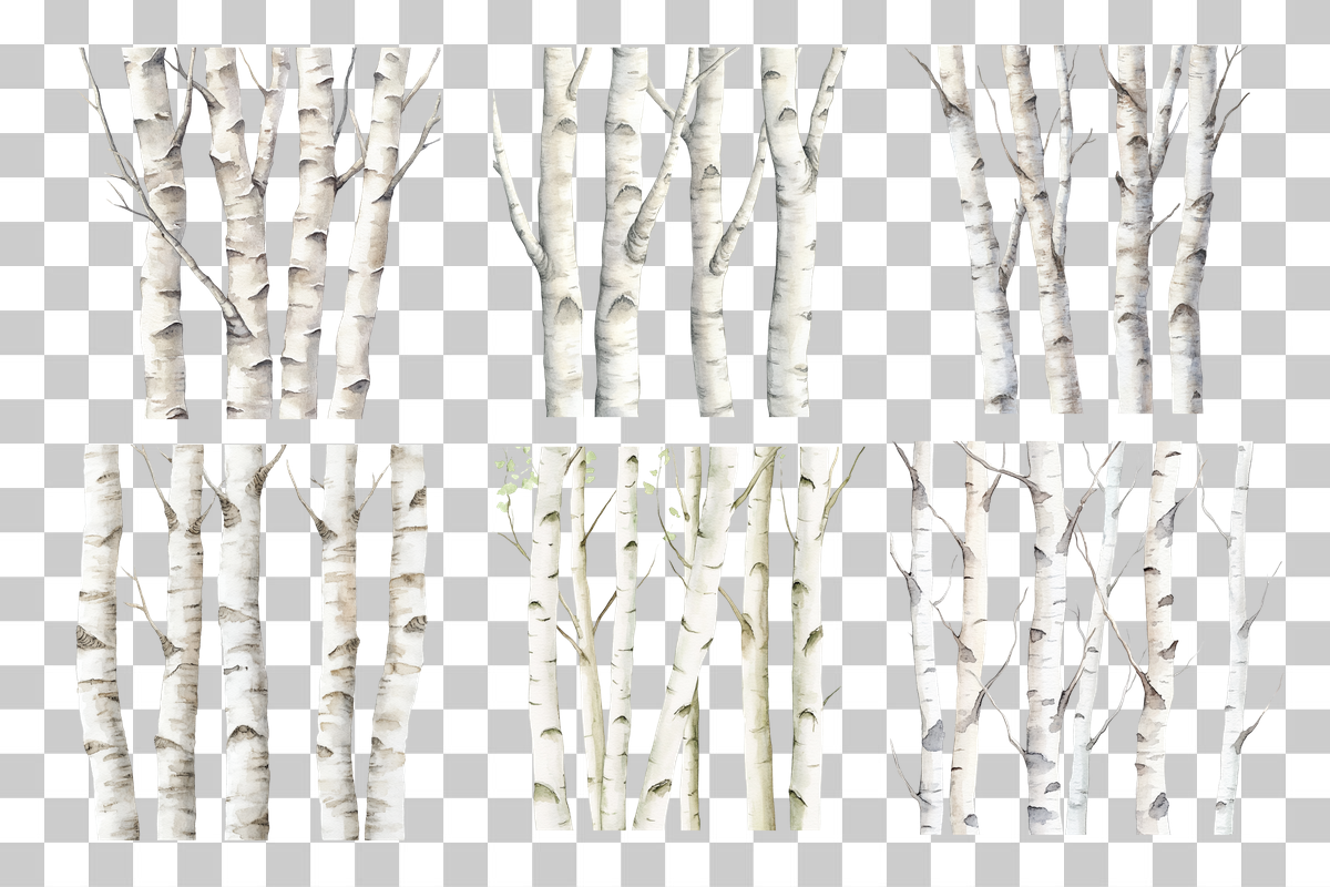 Birch Forest Paper Clipart Bundle