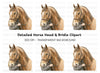 Majestic Horse Head Clipart Bundle
