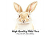 Cute Bunny Faces Clipart Bundle
