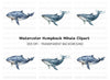 Blue Whale Clipart Bundle