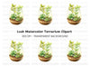 Succulent Terrarium Clipart Bundle