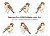 Sparrow Birds Clipart Bundle