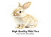 Cute Baby Bunny Clipart Bundle