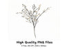 Pussy Willow Twigs Clipart Bundle