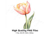 Pink and Yellow Tulip Clipart Bundle