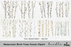 Birch Trees Forest Clipart Bundle