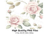 Elegant Pink Roses Clipart Bundle