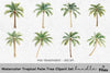 Tropical Palm Tree Clipart Bundle
