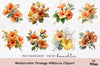 Orange Hibiscus Clipart Bundle