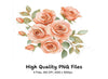 Peach Rose Clipart Bundle