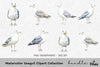 Seagull Clipart Bundle