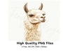Cute Llama Portraits Clipart Bundle