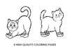 Christmas CatsFun Coloring Books