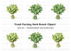 Fresh Greens Clipart Bundle