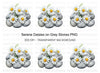 Daisy and Stone Arrangement Clipart Bundle