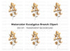 Eucalyptus Branch Clipart Bundle