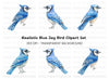 Realistic Blue Jay Bird Clipart Bundle