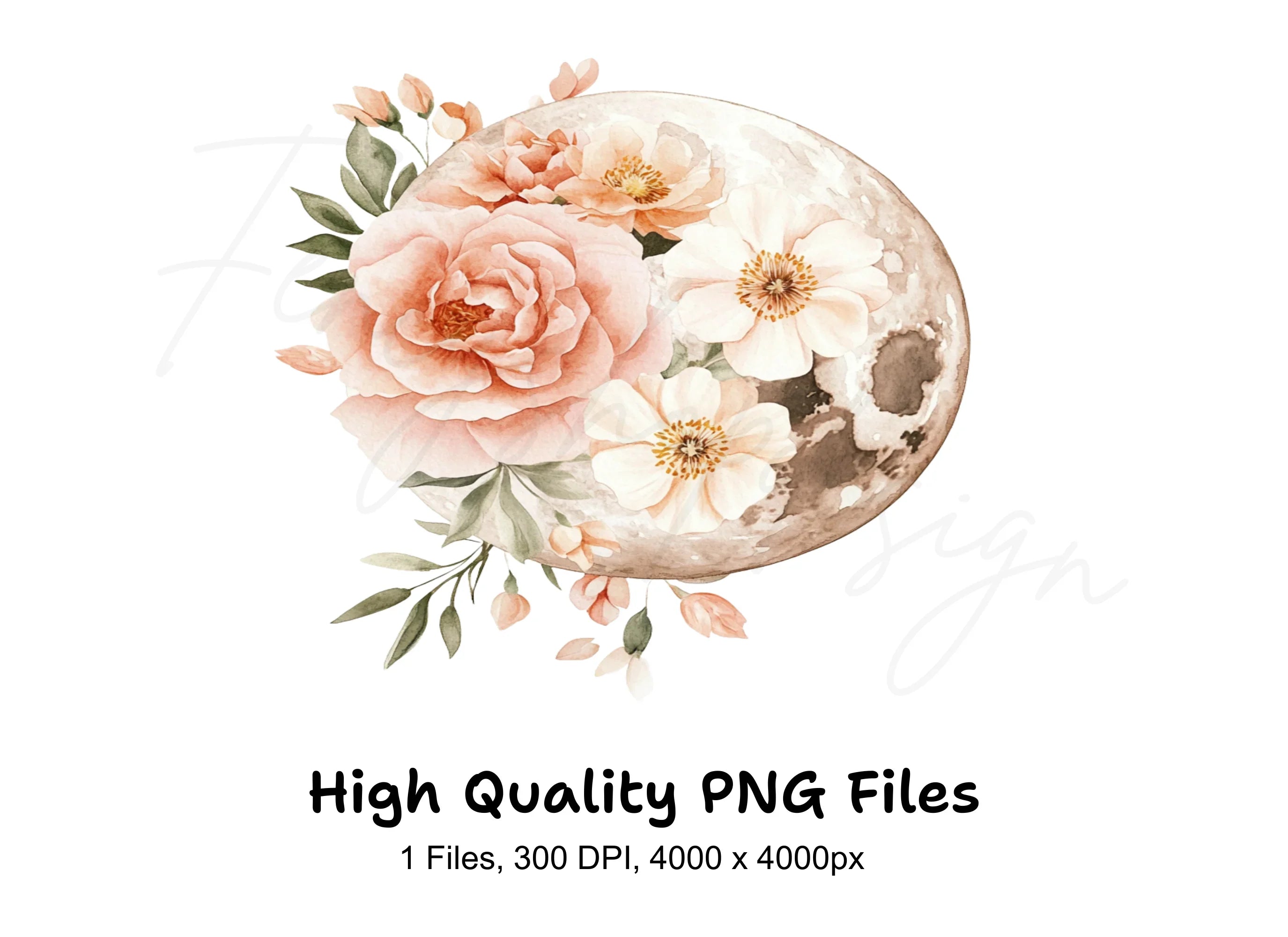 Floral Moon Clipart Bundle