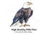 Majestic Bald Eagle Clipart Bundle