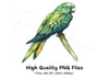 Green Parrot Clipart Bundle