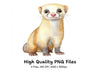 Ferret Illustrations Clipart Bundle