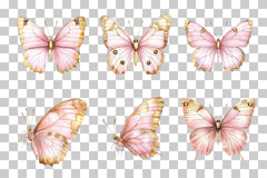 Pink Butterfly Gold Wings Clipart Bundle - CraftNest - Digital Crafting and Art