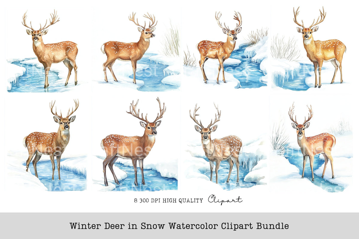 Winter Deer In Snow Clipart Bundle