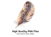Boho Feather Clipart Bundle